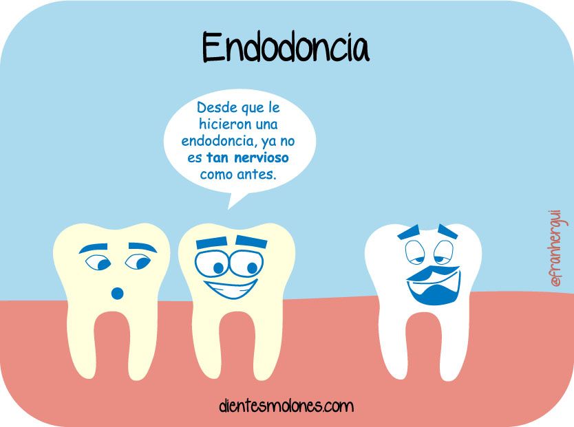 dientes-molones-endodoncia15